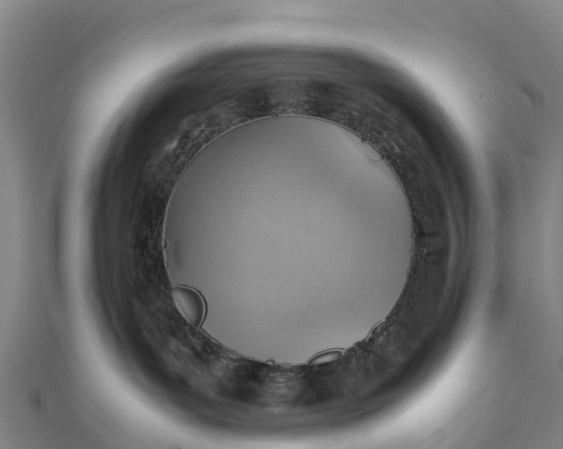 X0000112090143200908181311