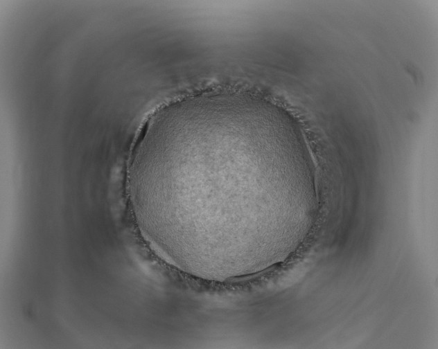 X0000112090144200908181311