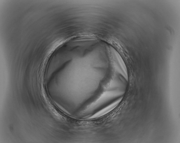 X0000112090145200908181311