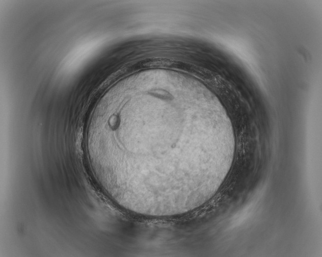 X0000112090146200908181311