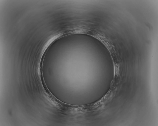 X0000112090147200908181311