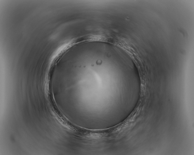 X0000112090149200908181311