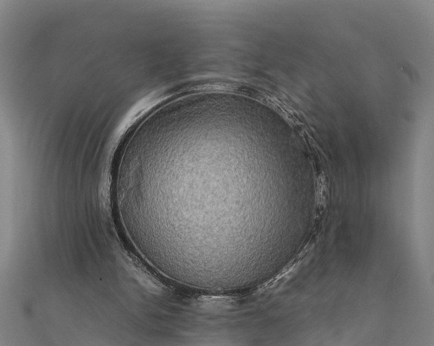 X0000112090150200908181311