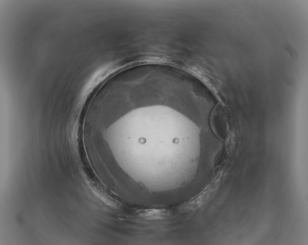 X0000112090151200908181311