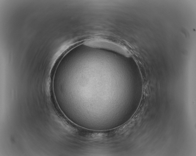 X0000112090152200908181311