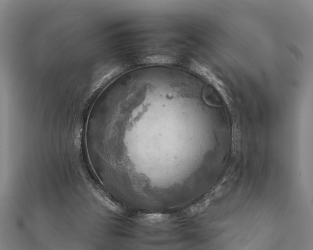 X0000112090153200908181311