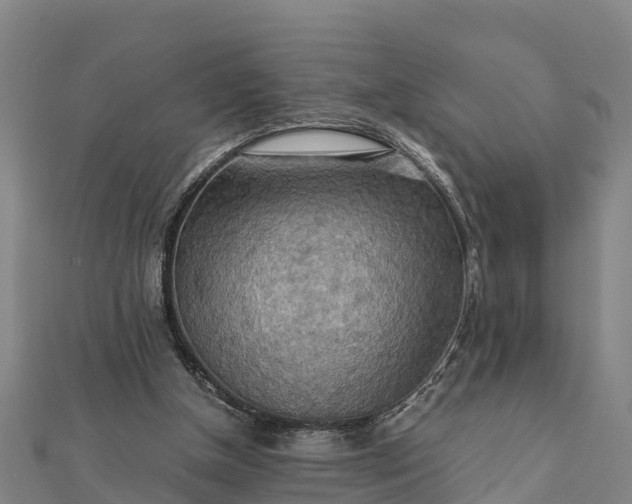 X0000112090154200908181311