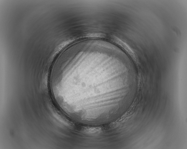 X0000112090155200908181311