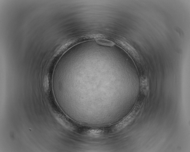 X0000112090158200908181311