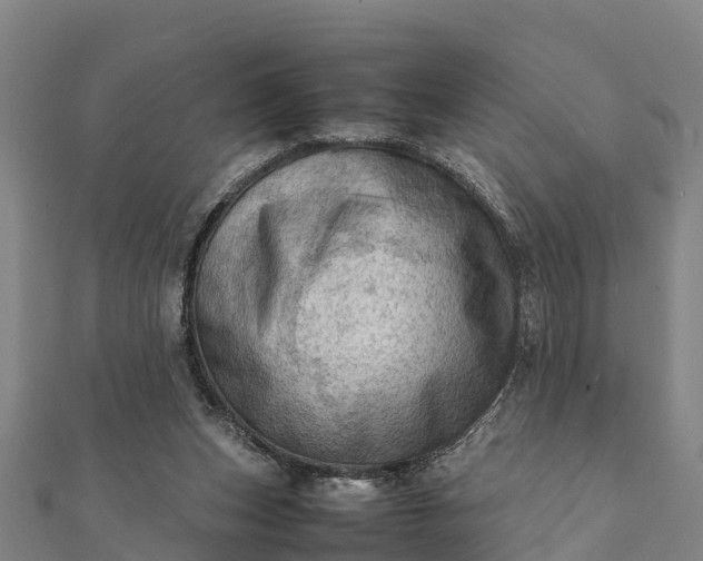 X0000112090159200908181311