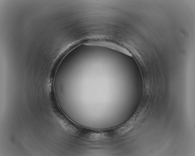 X0000112090160200908181311