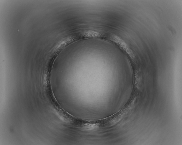 X0000112090161200908181311