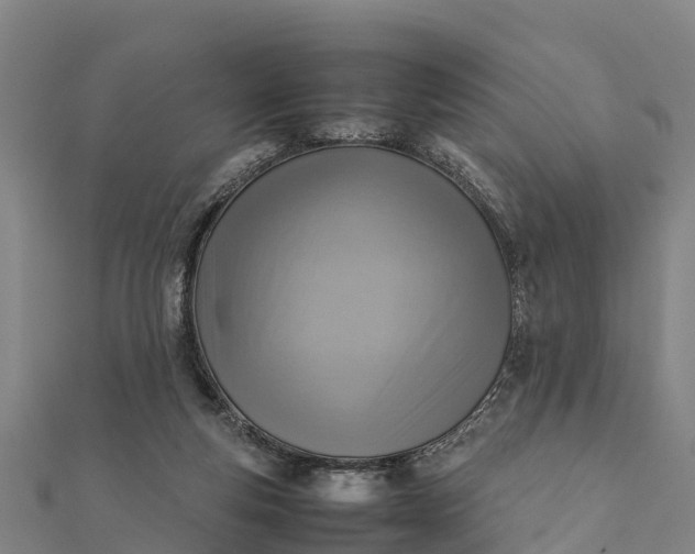 X0000112090163200908181311