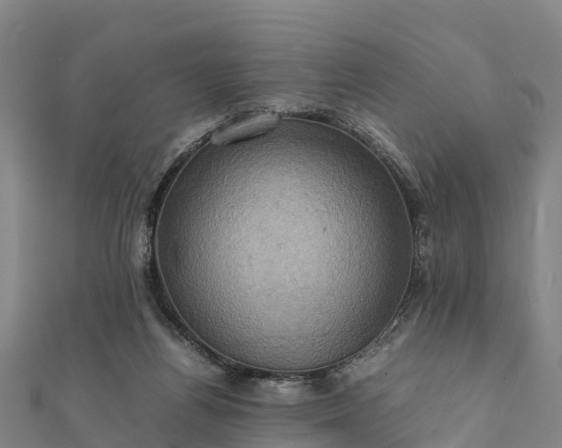 X0000112090164200908181311