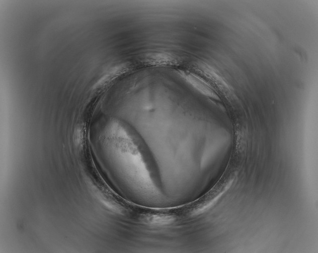 X0000112090165200908181311