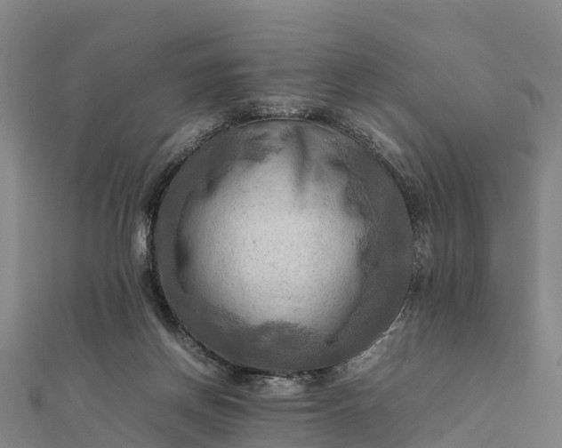 X0000112090166200908181311