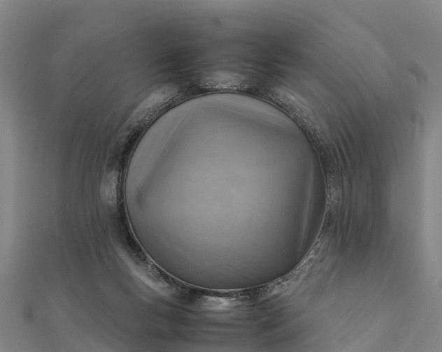 X0000112090167200908181311