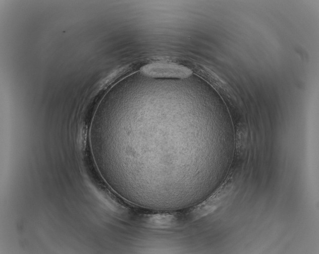 X0000112090168200908181311