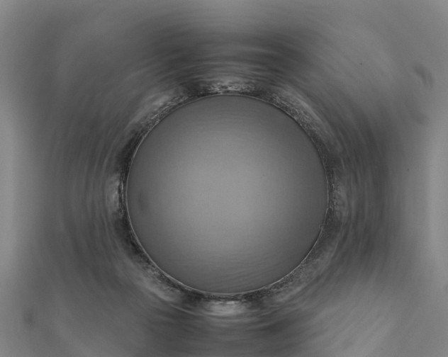 X0000112090169200908181311