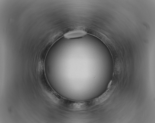 X0000112090172200908181311