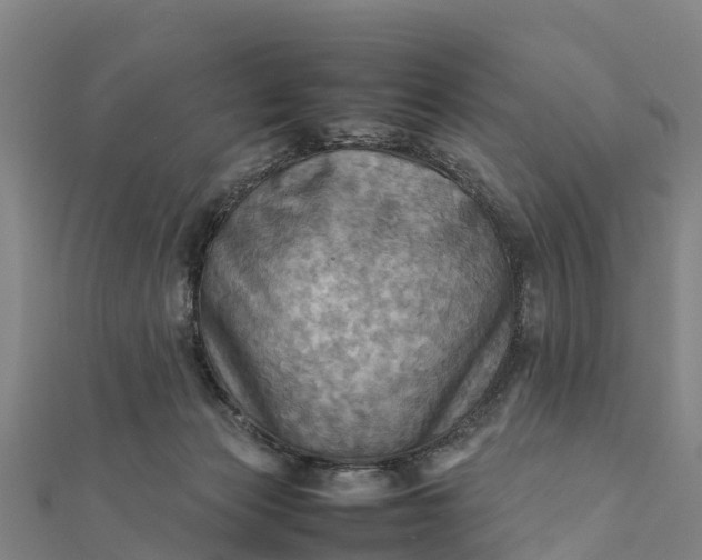 X0000112090173200908181311