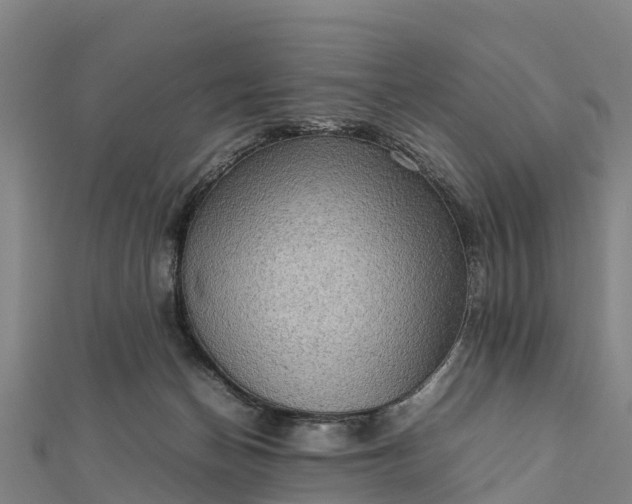 X0000112090174200908181311