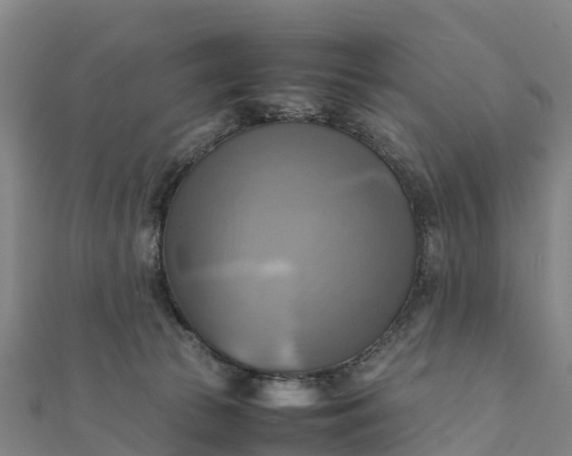 X0000112090177200908181311