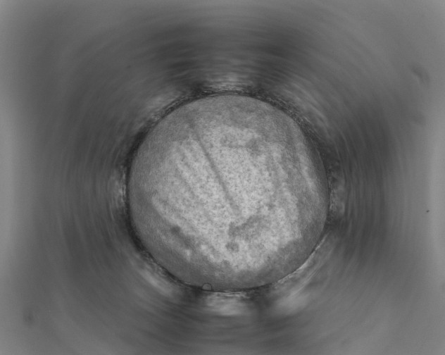 X0000112090179200908181311