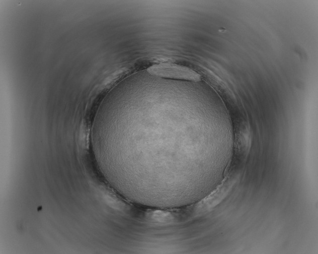 X0000112090180200908181311