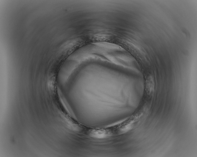 X0000112090181200908181311