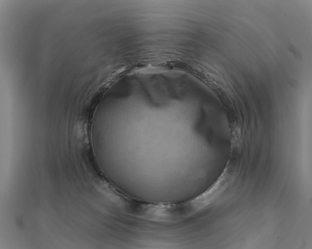 X0000112090182200908181311