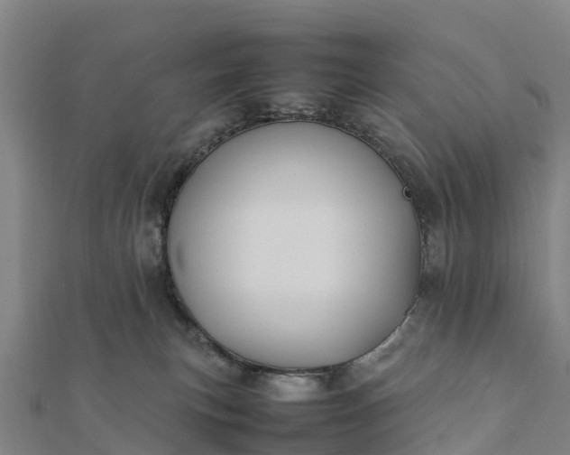 X0000112090183200908181311