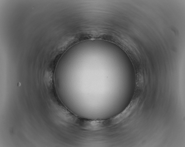 X0000112090184200908181311