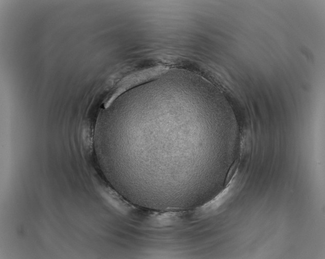 X0000112090186200908181311