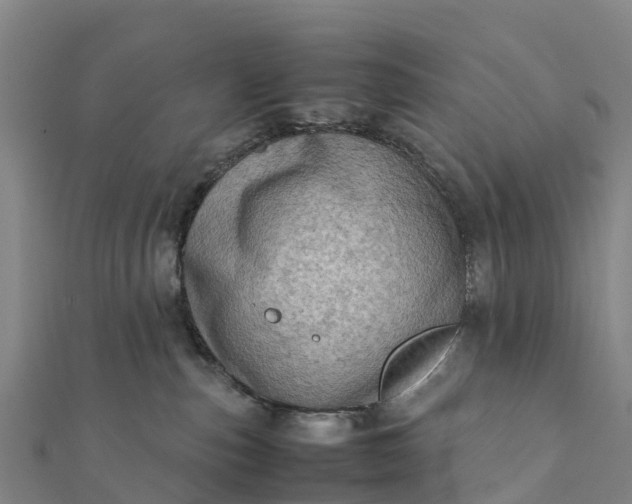 X0000112090187200908181311