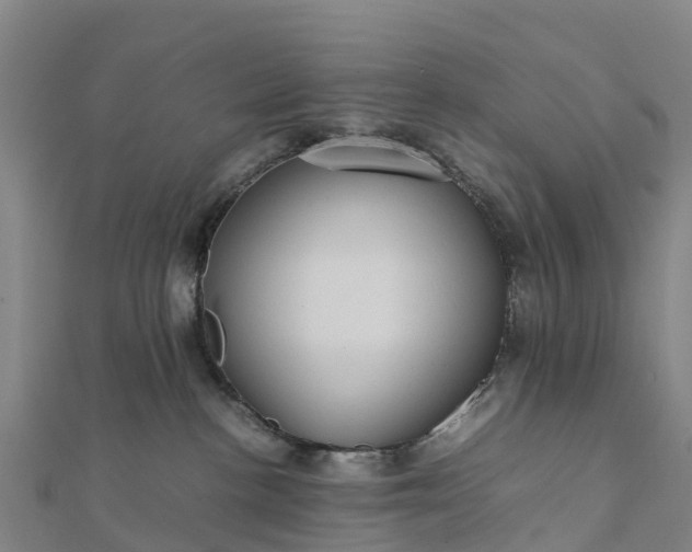 X0000112090188200908181311