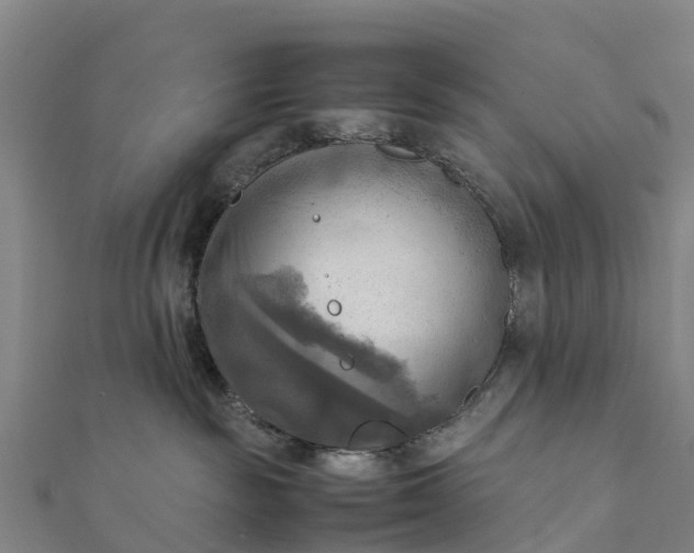 X0000112090189200908181311