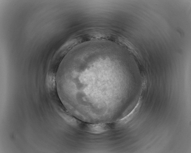 X0000112090191200908181311