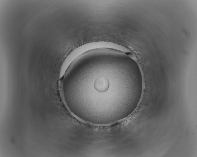 X0000112090192200908181311