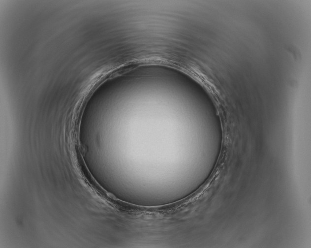 X0000112090193200908181311