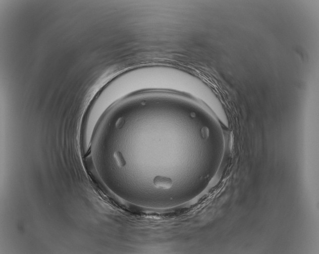 X0000112090195200908181311