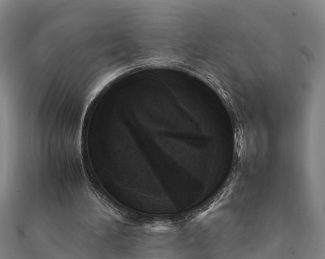 X0000112090196200908181311