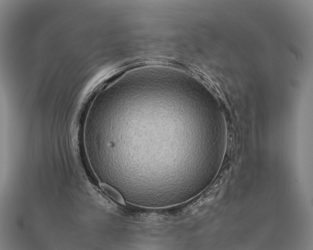 X0000112090197200908181311