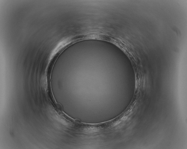 X0000112090198200908181311