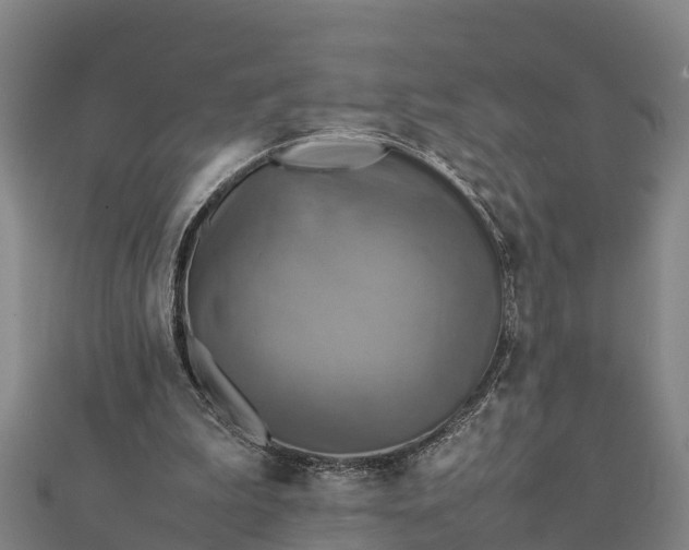 X0000112090199200908181311