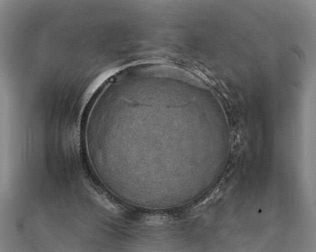 X0000112090200200908181311