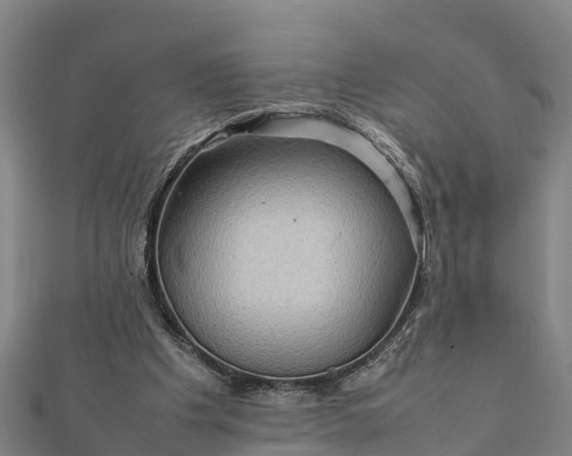 X0000112090201200908181310