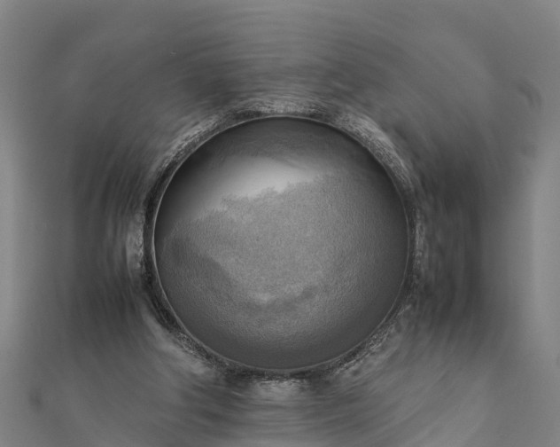 X0000112090202200908181310