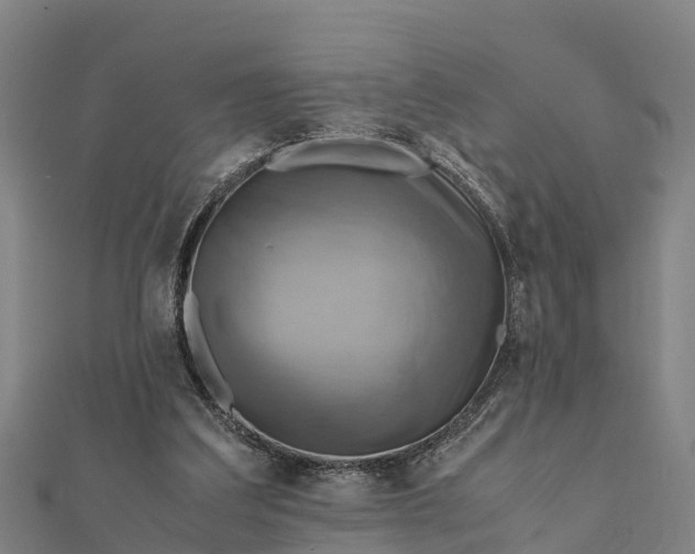 X0000112090203200908181310