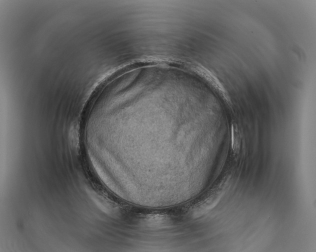 X0000112090204200908181310